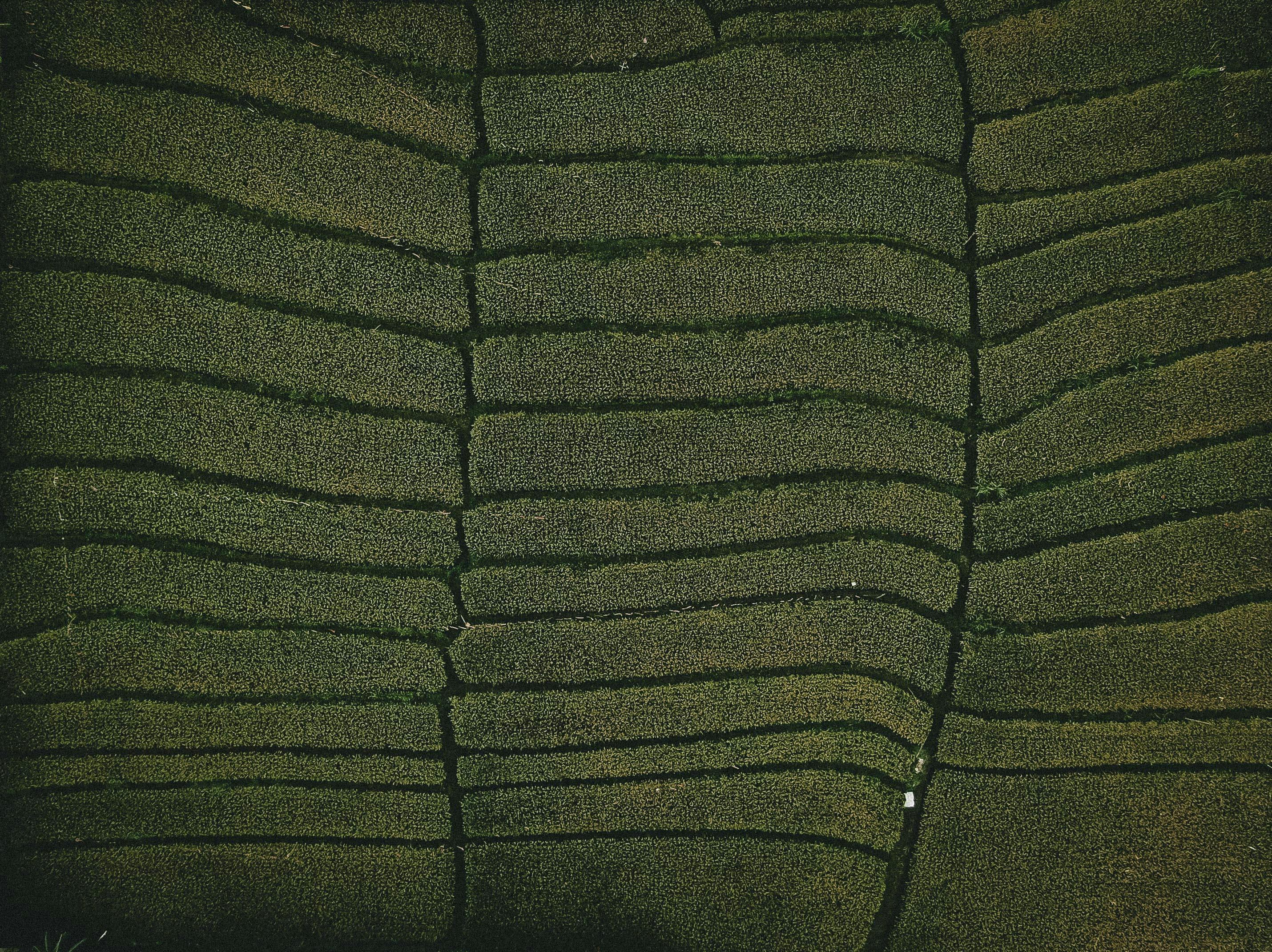 Residential Epoxy Flooring